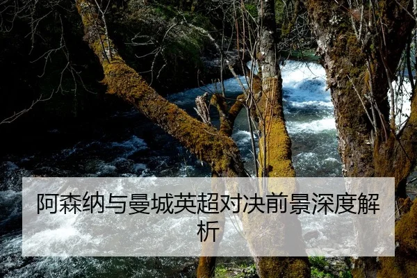 阿森纳与曼城英超对决前景深度解析