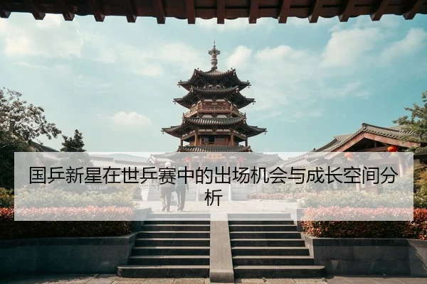 国乒新星在世乒赛中的出场机会与成长空间分析