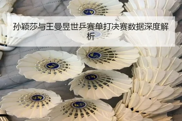 孙颖莎与王曼昱世乒赛单打决赛数据深度解析